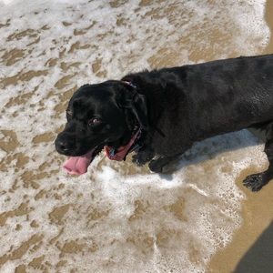 Meet your Posher, Brittany